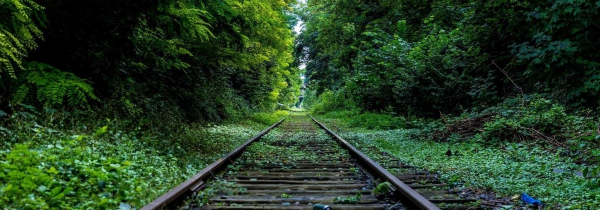 115-國小-核心素養-簡報